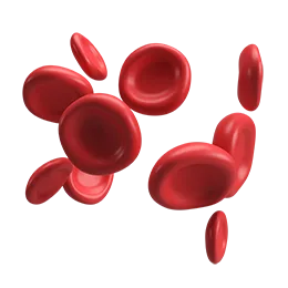 <p>HEMATOLOGIA</p>