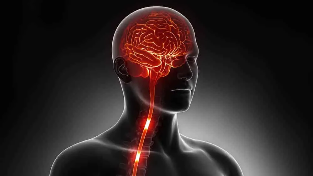 Riluzol: O Medicamento que Ajuda a Conter o Avanço da ELA (Esclerose Lateral Amiotrófica)