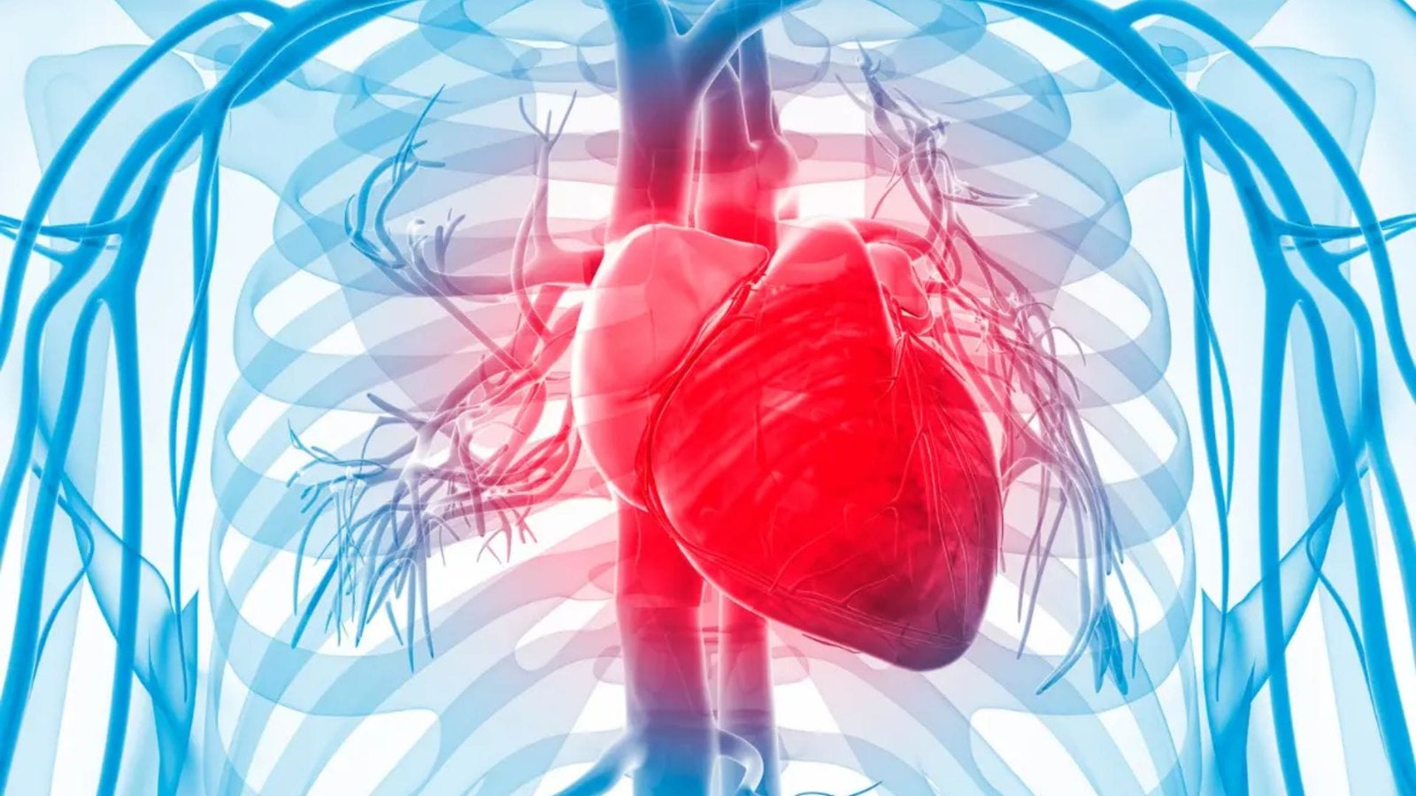 Cardiomiopatia hipertrófica: entenda o papel do CAMZYOS