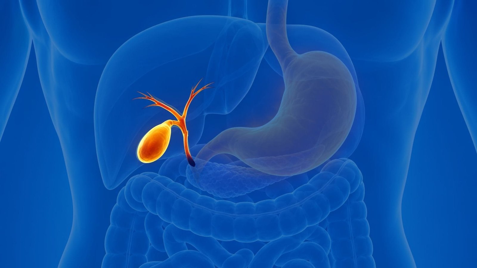 PEMAZYRE (Pemigatinib): terapia direcionada para tumores com alterações FGFR